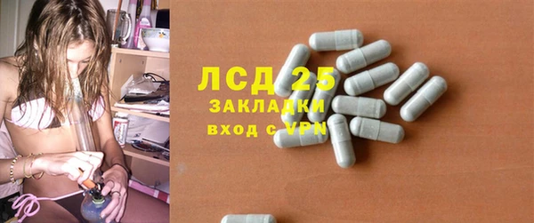ГАЛЛЮЦИНОГЕННЫЕ ГРИБЫ Пересвет