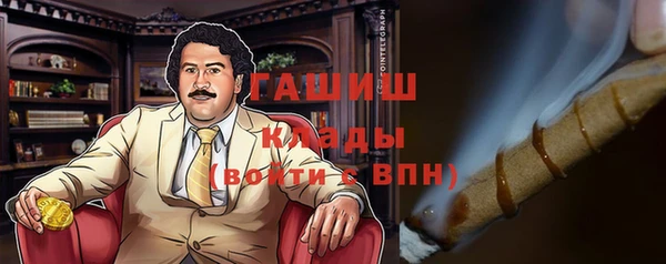 хмурый Абаза