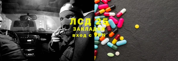 хмурый Абаза