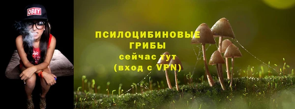гашик Абдулино