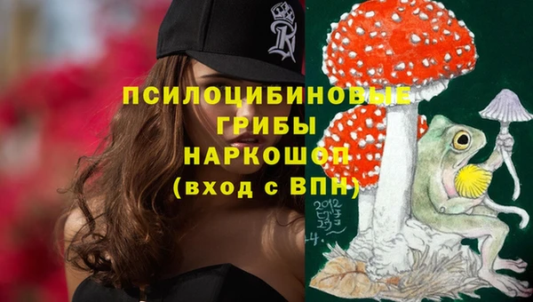 хмурый Абаза