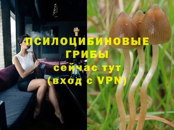 кокаин премиум Алзамай