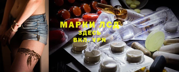 сатива Алексеевка