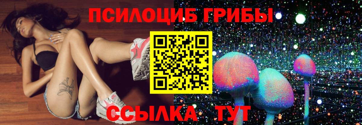 Псилоцибиновые грибы Psilocybine cubensis Тольятти