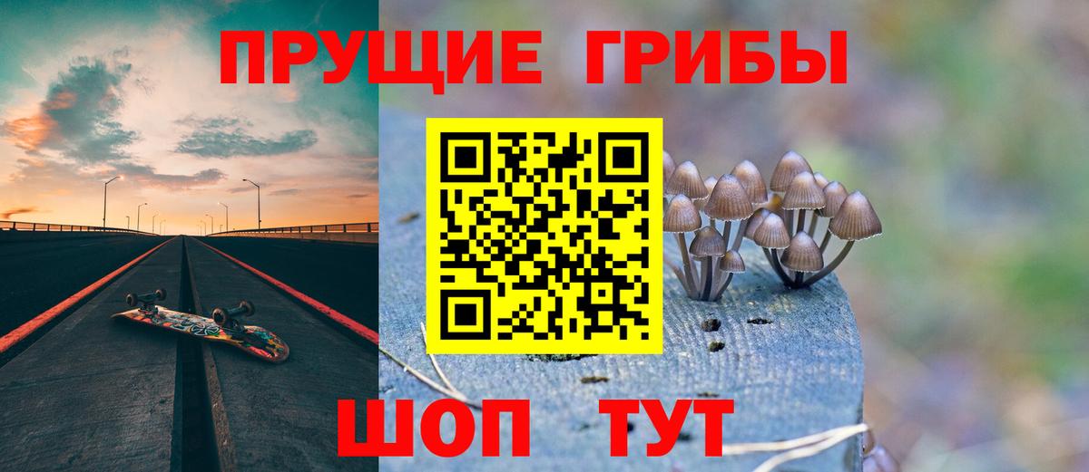 Тольятти  Псилоцибиновые грибы прущие грибы  Вход с VPN 